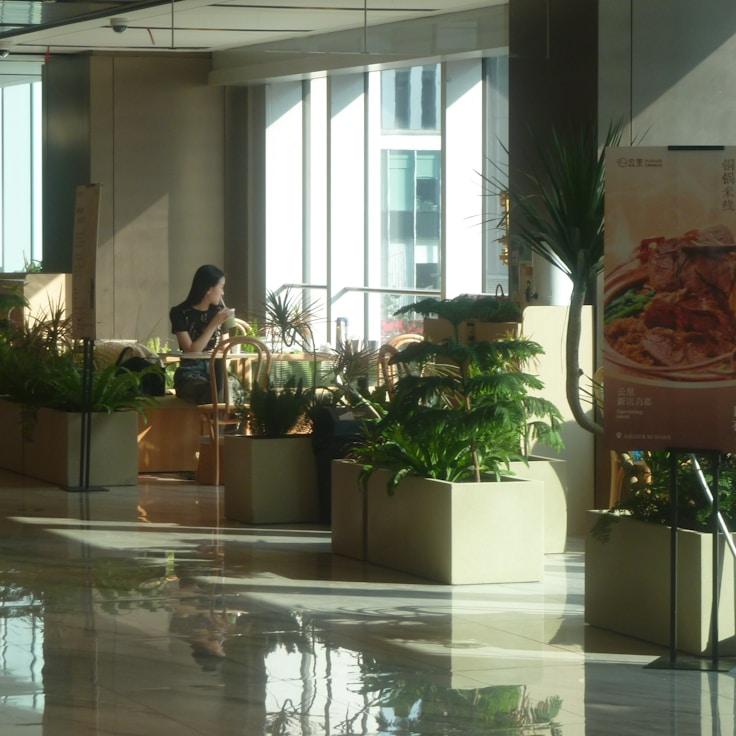 Dining out as an expat family in Germany